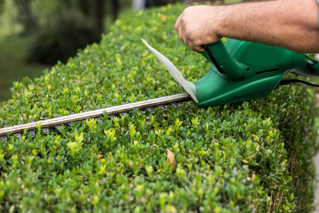Hedge Trimming Calculator