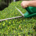 Hedge Trimming Calculator