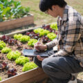 Vegetable Garden Planner