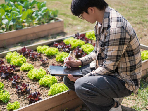 Vegetable Garden Planner